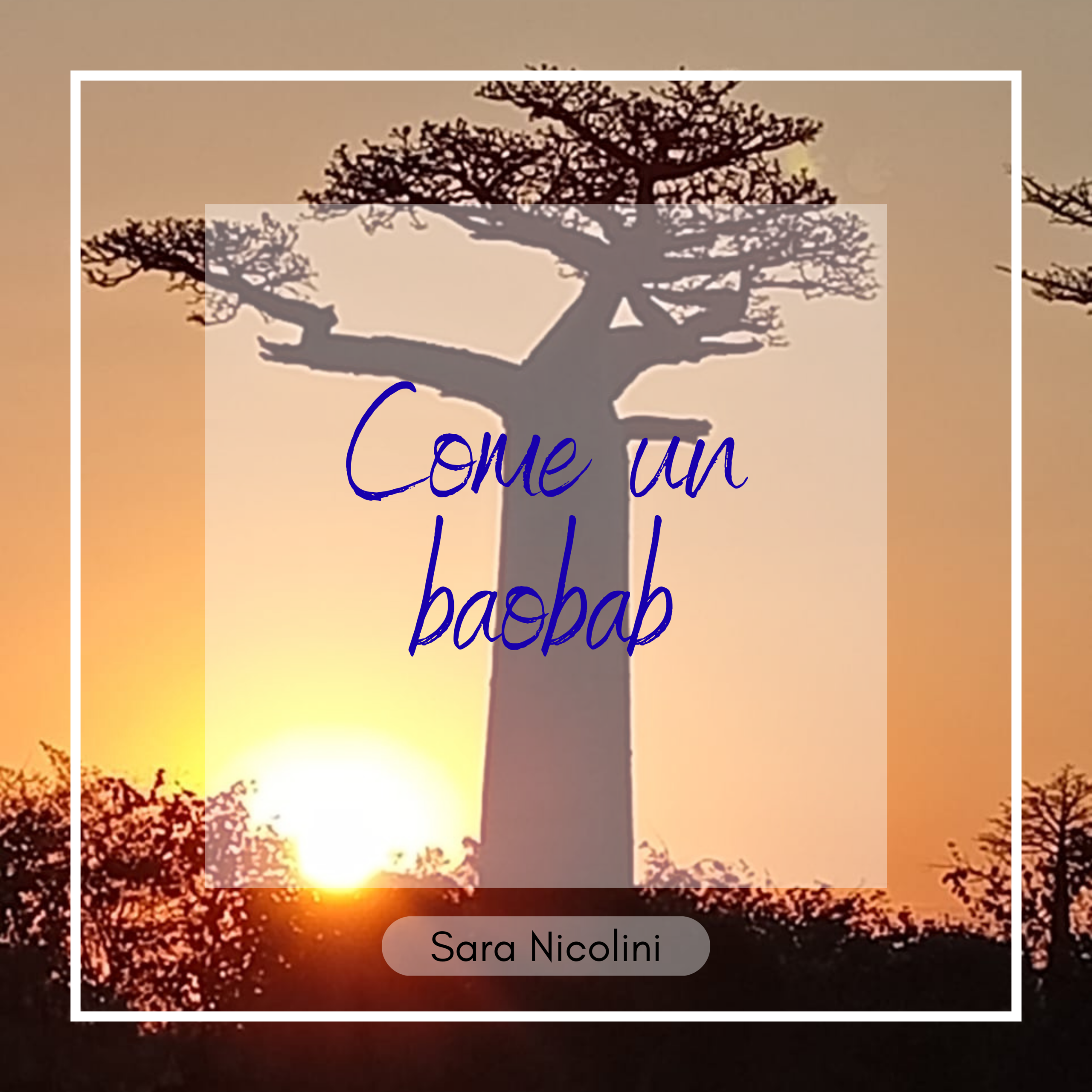 Come un baobab